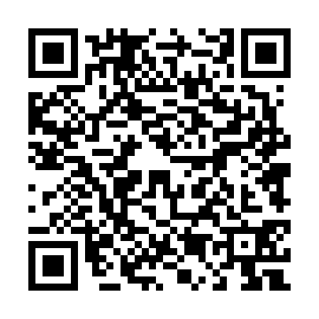 QR code for 4546304
