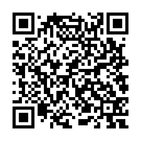 QR code for 456133