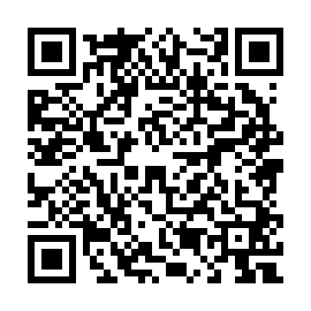 QR code for 4582403
