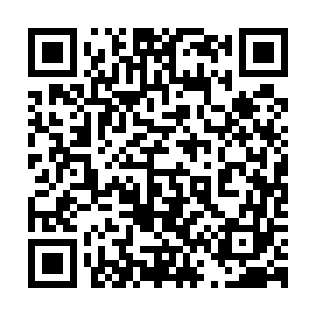 QR code for 461563