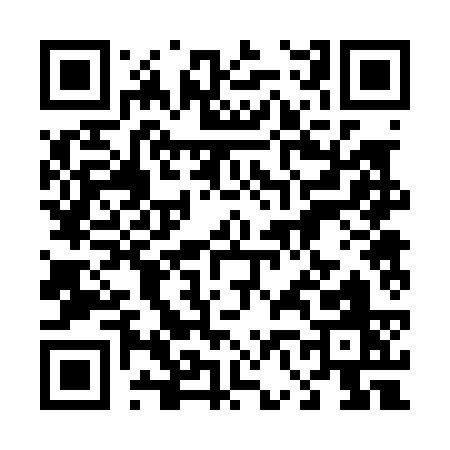QR code for 46203