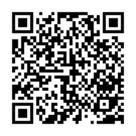 QR code for 46207