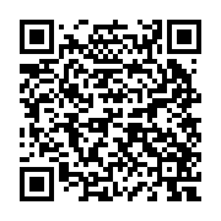 QR code for 462246