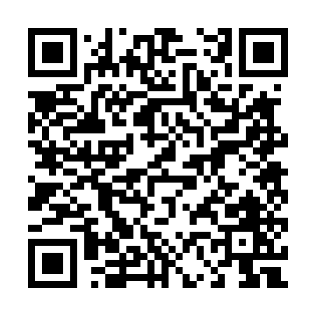 QR code for 46245
