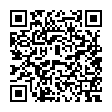 QR code for 4629502