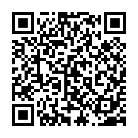 QR code for 463011