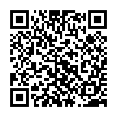QR code for 463055