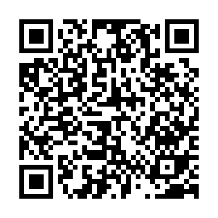 QR code for 46313