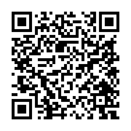 QR code for 46384