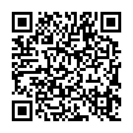 QR code for 46533