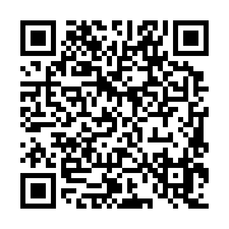QR code for 46538
