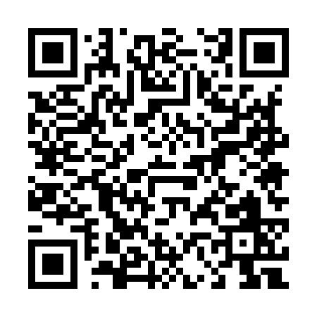 QR code for 46593