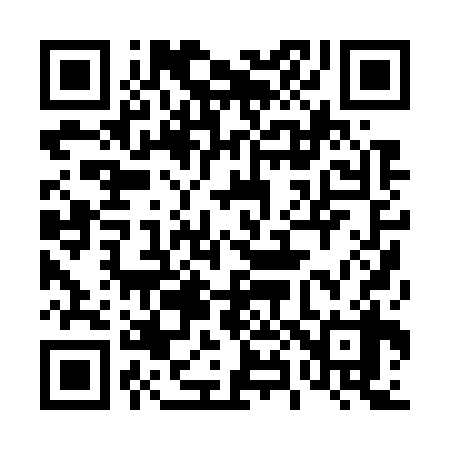 QR code for 480738