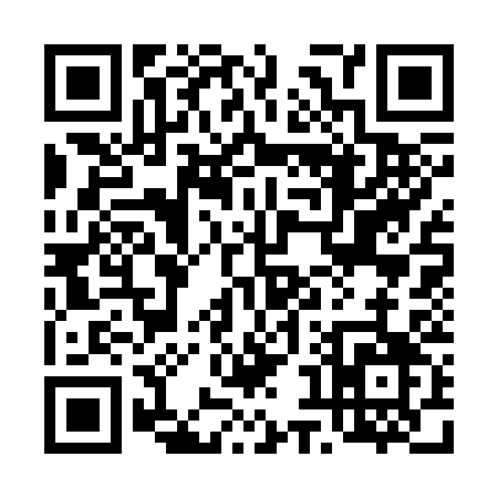 QR code for 48333