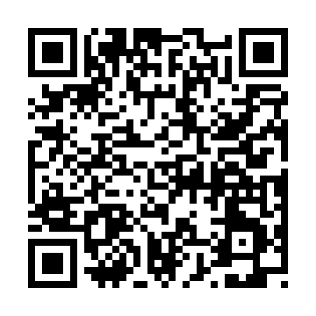 QR code for 48704