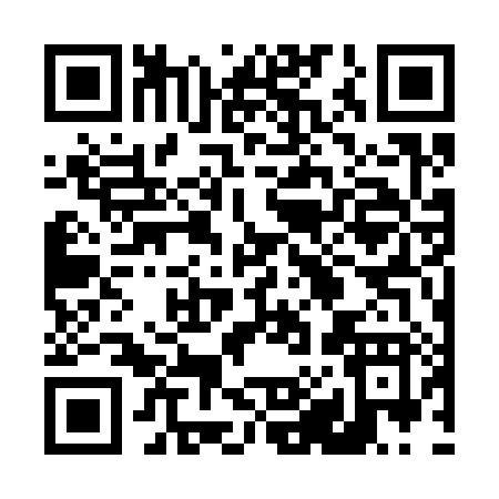 QR code for 48738
