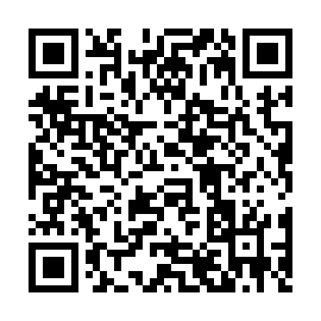 QR code for 48817