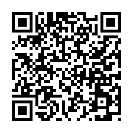 QR code for 48828