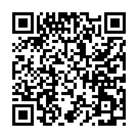 QR code for 48829