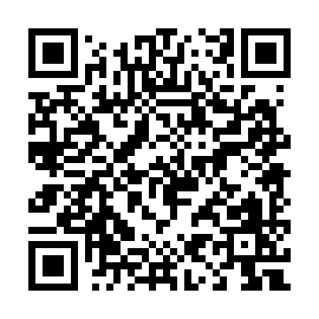 QR code for 49029