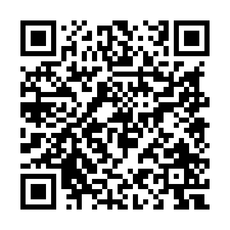 QR code for 49080