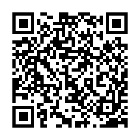QR code for 491293