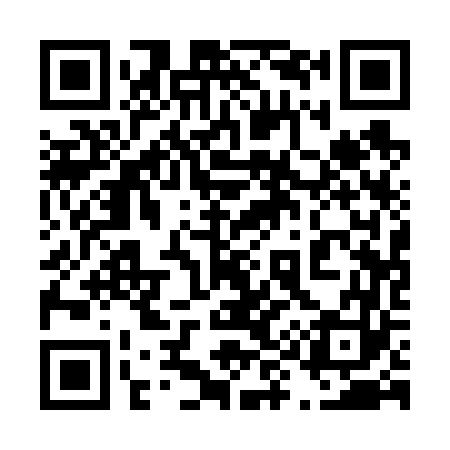 QR code for 491663