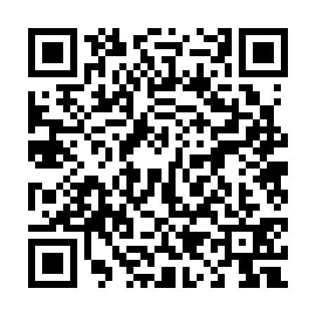 QR code for 4923313