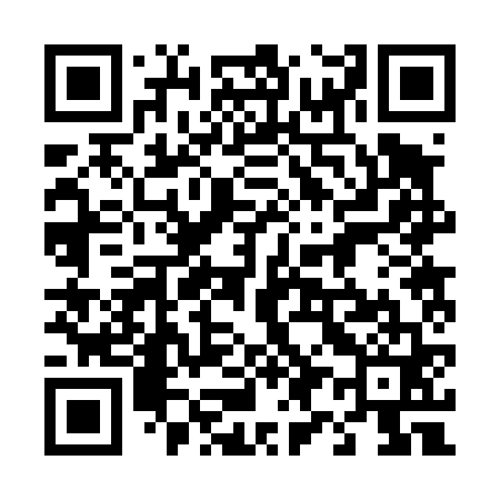 QR code for 492461