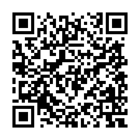 QR code for 49249
