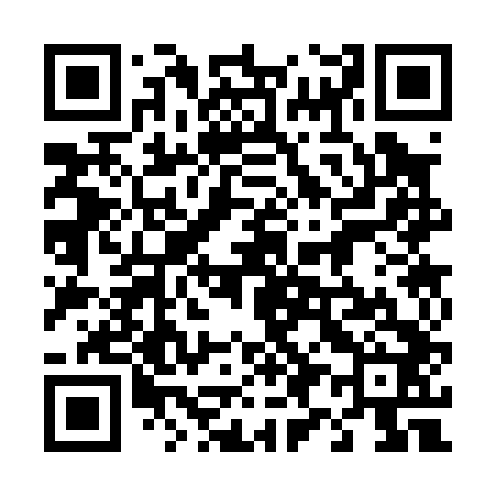 QR code for 493042
