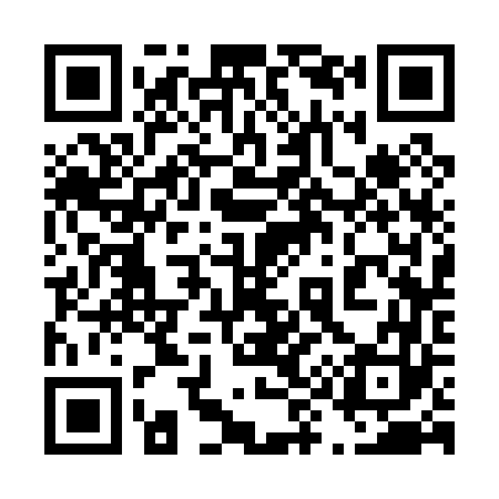 QR code for 493063