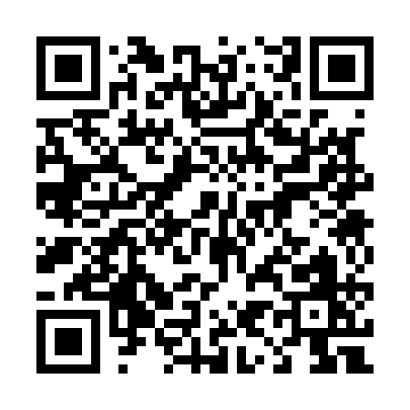 QR code for 49311