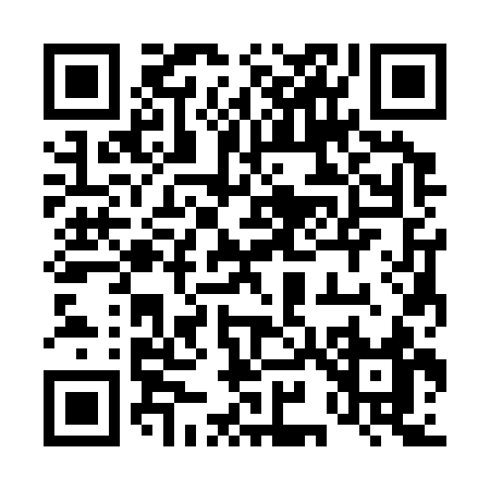 QR code for 49333