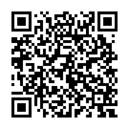 QR code for 493344