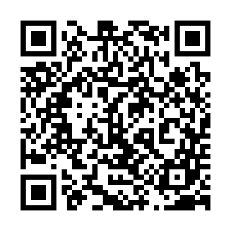 QR code for 493347