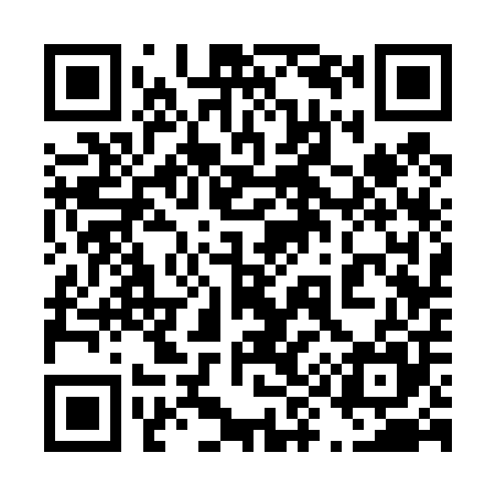 QR code for 493405