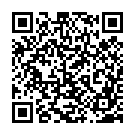 QR code for 493466