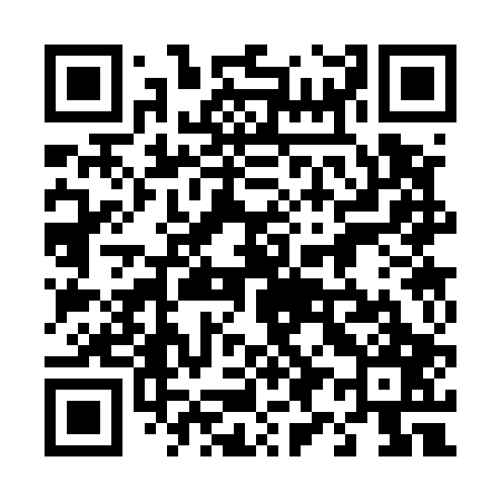 QR code for 493507