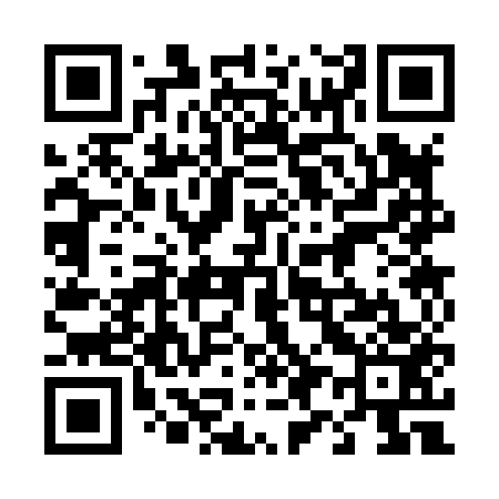 QR code for 493853