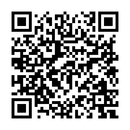 QR code for 49393