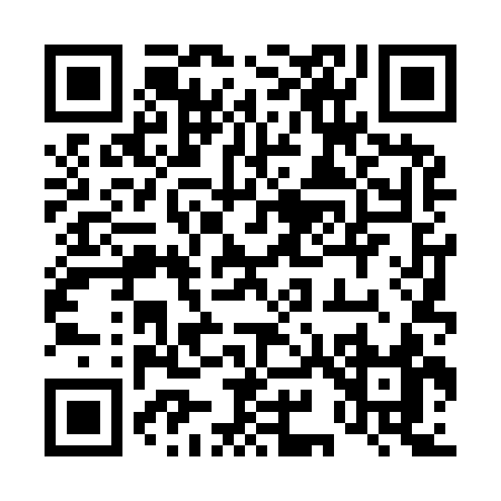 QR code for 49493