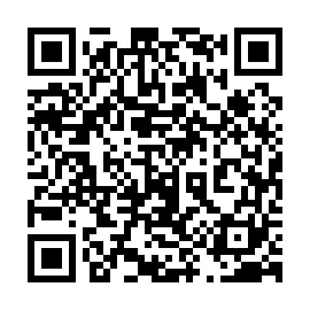 QR code for 495161