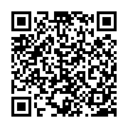 QR code for 495500