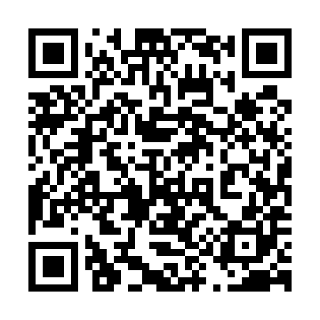 QR code for 495580