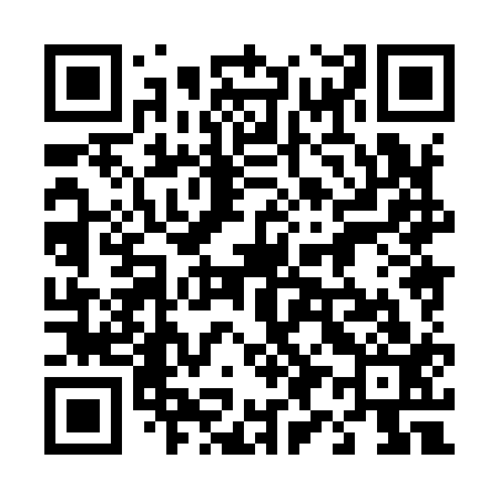QR code for 498913