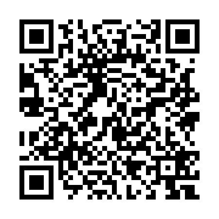 QR code for 4991291