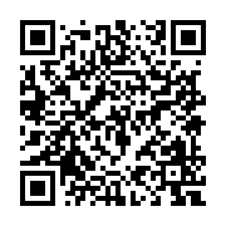 QR code for 49919