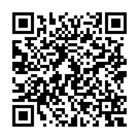 QR code for 4995251