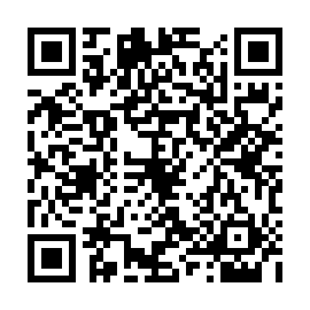 QR code for 4996113